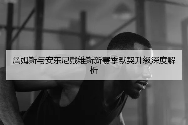 詹姆斯与安东尼戴维斯新赛季默契升级深度解析 | ayx.com